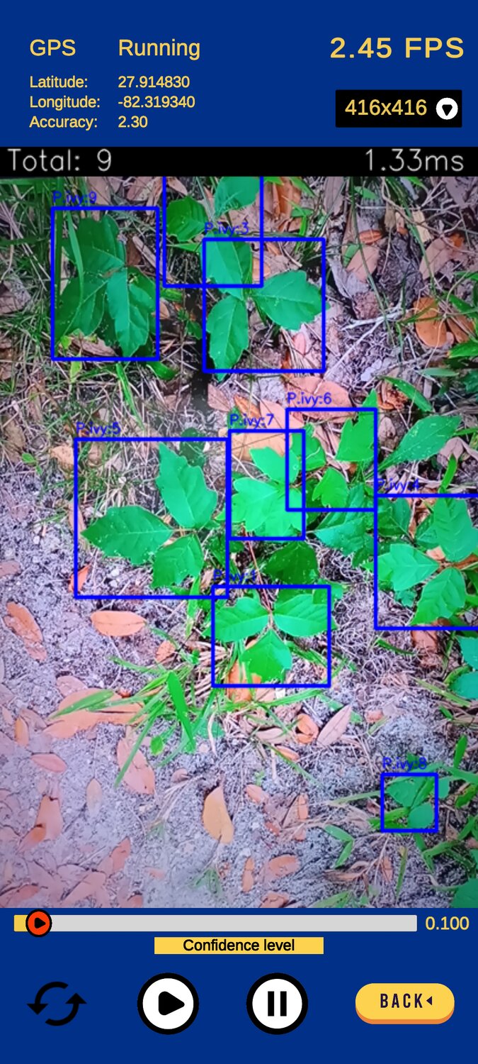 Screenshot of app used to identify poison ivy.